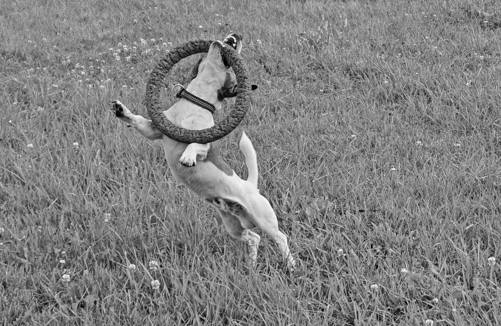 Photograph by Анна Васильева