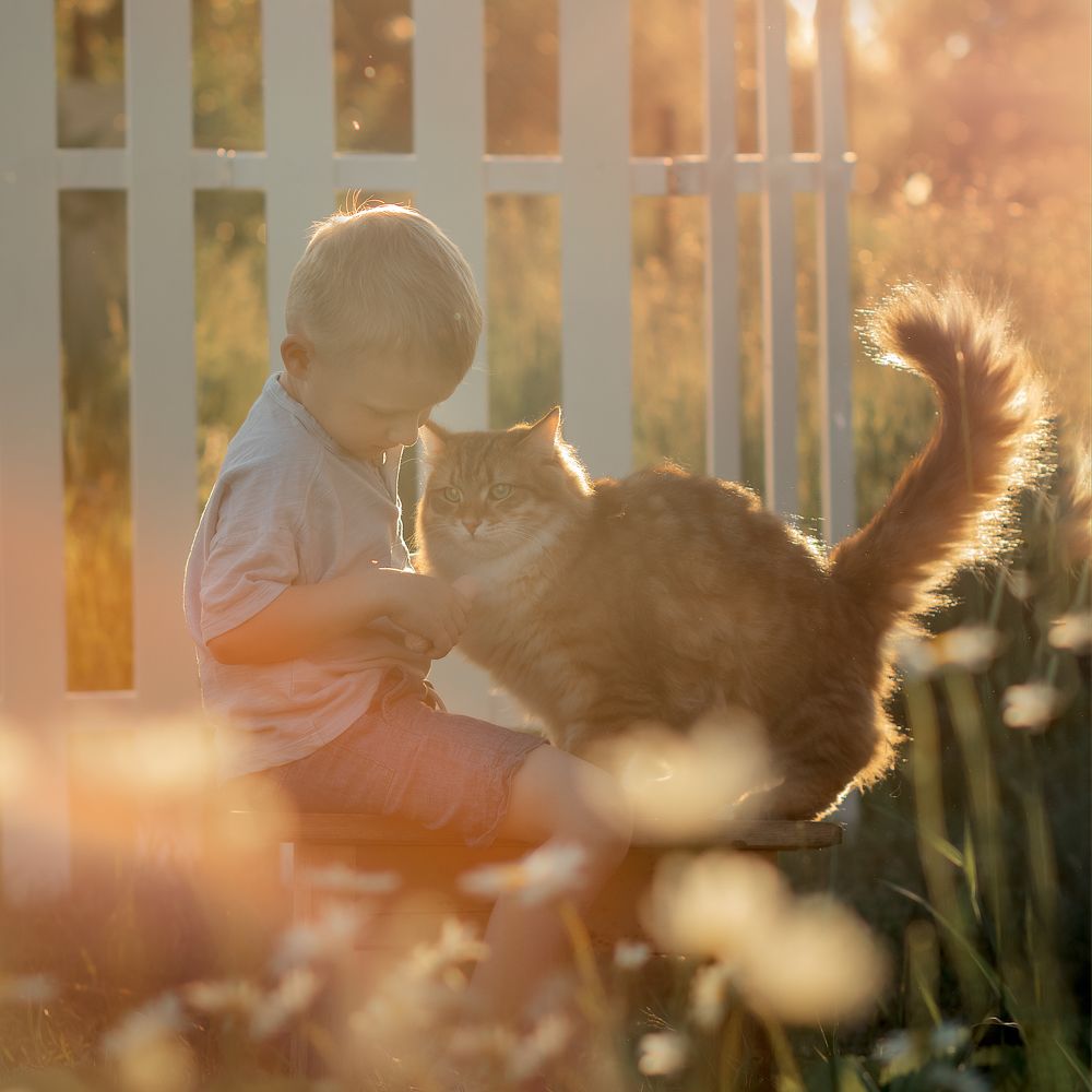 Photograph by Светлана Мандрикова