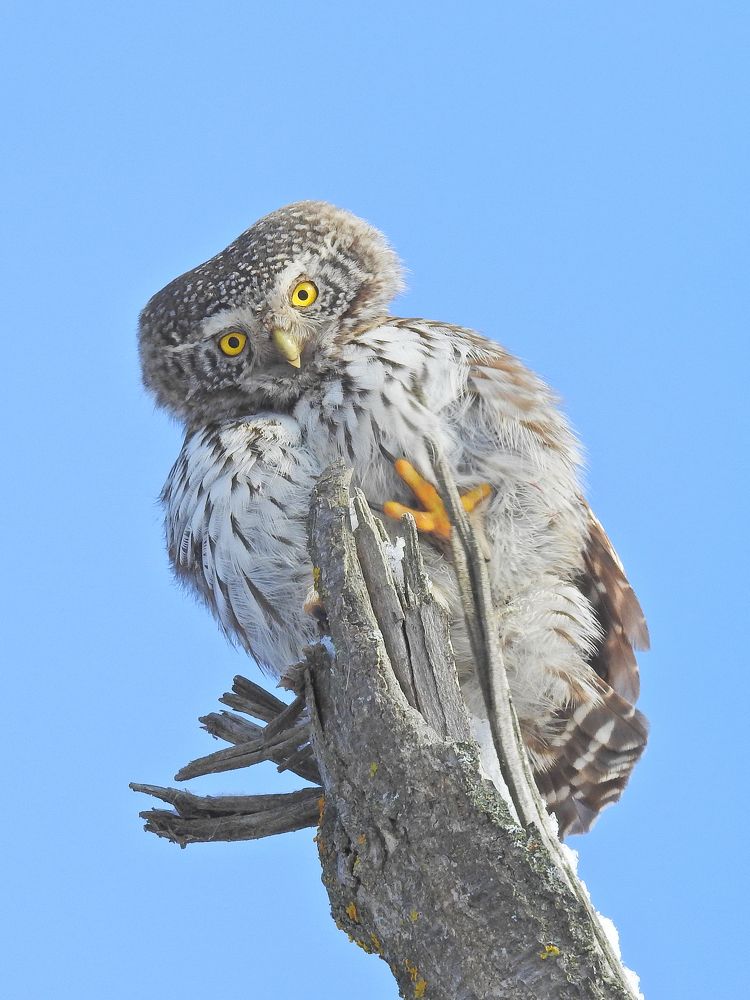 Photograph by Игорь Степанов