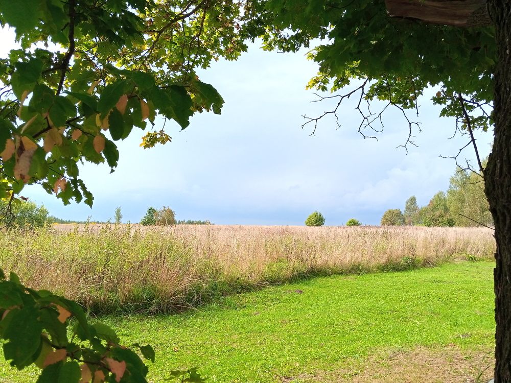 Photo #8776984