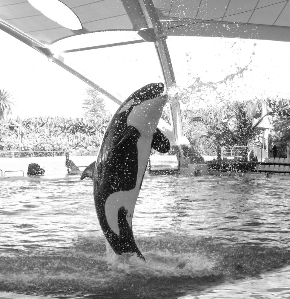 Photograph by Марина Георгиева