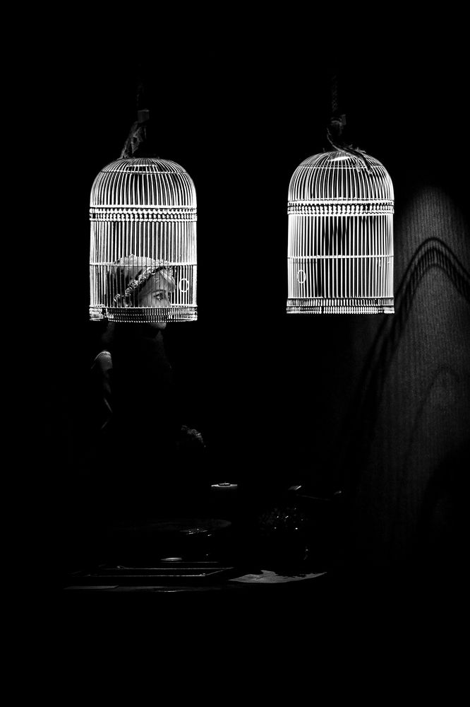 Фотография автора Seyede Elahe GHasemi