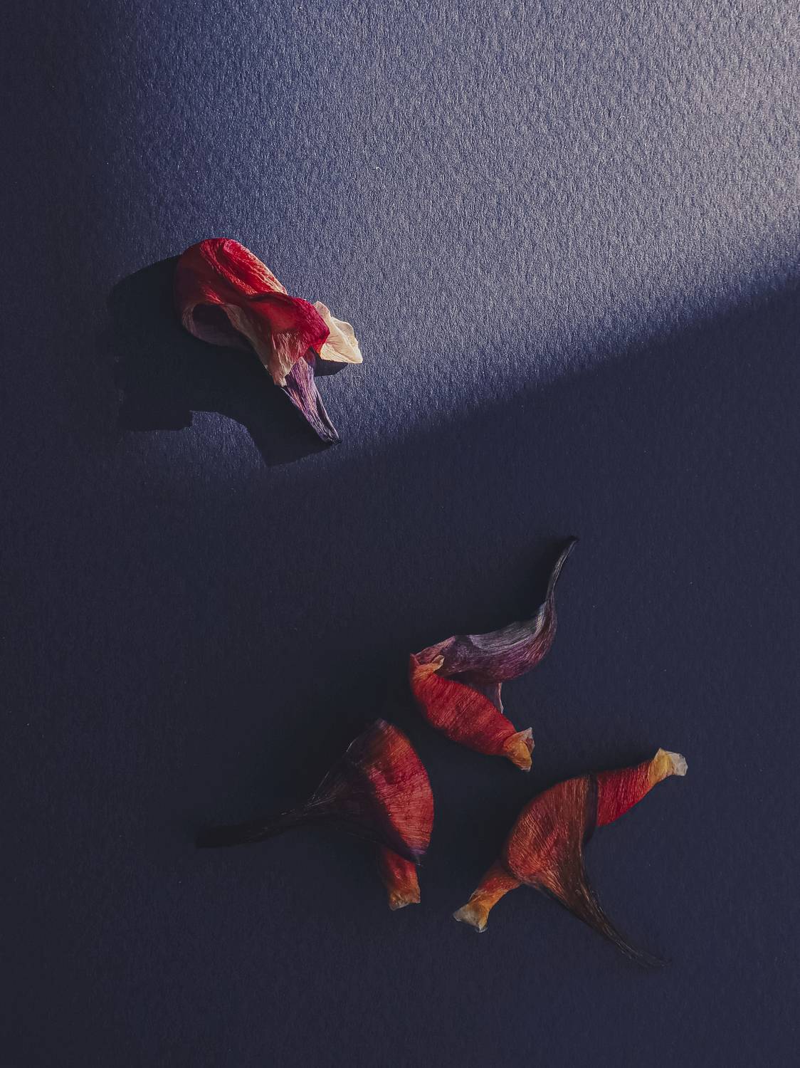 Photo #8777054