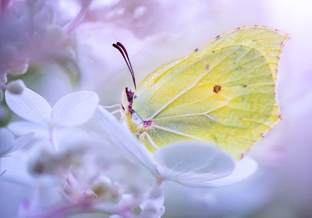 Утренняя акварель