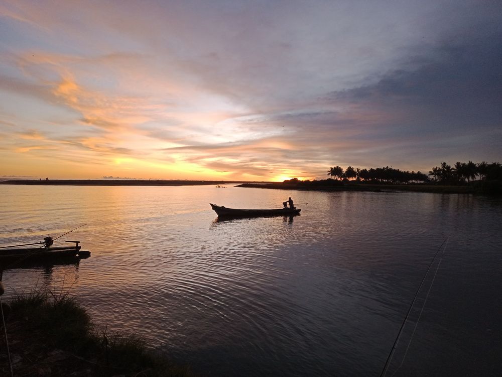 Photo #8777089