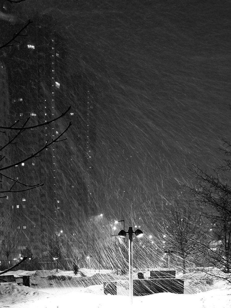 Фотография автора Светлана Алексеева