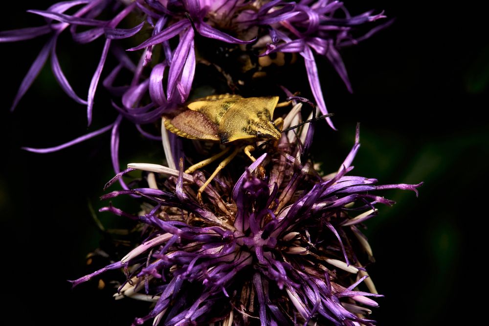 Фотография автора Игорь Игоревич