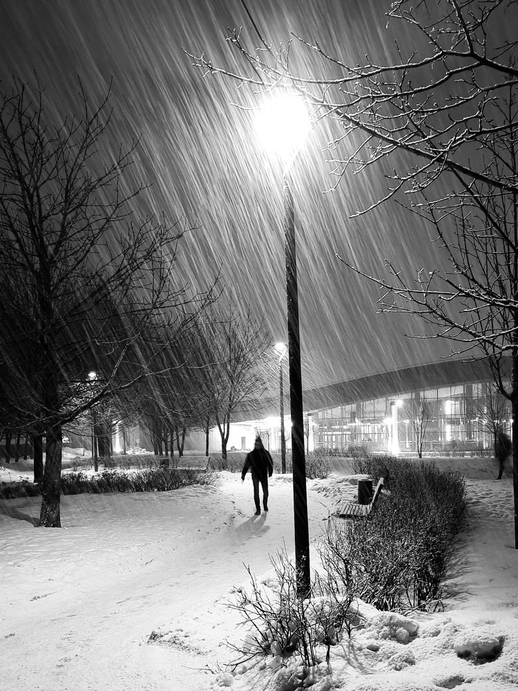 Фотография автора Светлана Алексеева