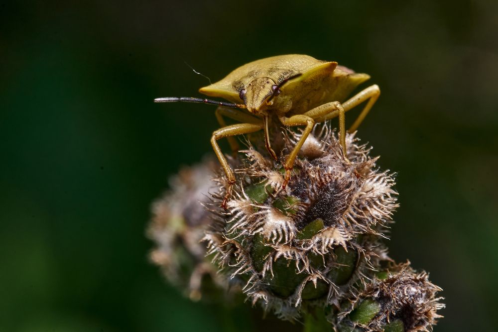 Фотография автора Игорь Игоревич