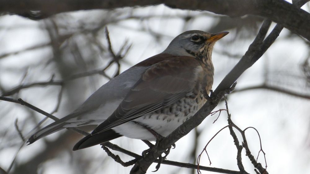 Photograph by Александр Кизим