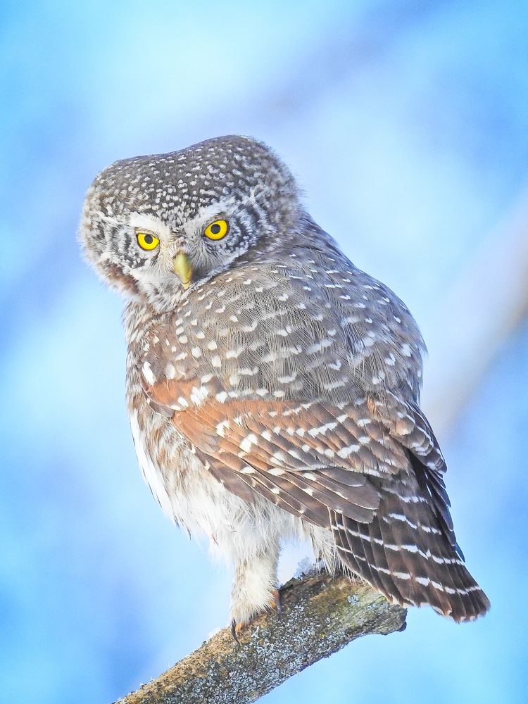 Photograph by Игорь Степанов