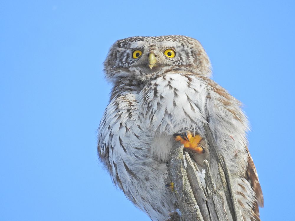 Photograph by Игорь Степанов