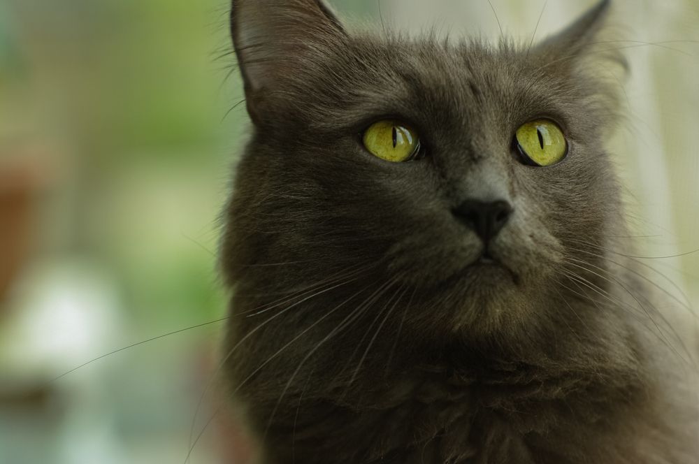 Photograph by  OlessiaKh