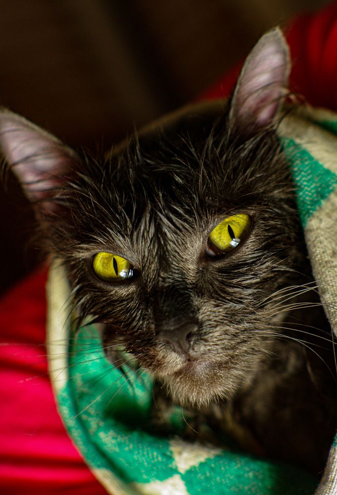 Photograph by  OlessiaKh