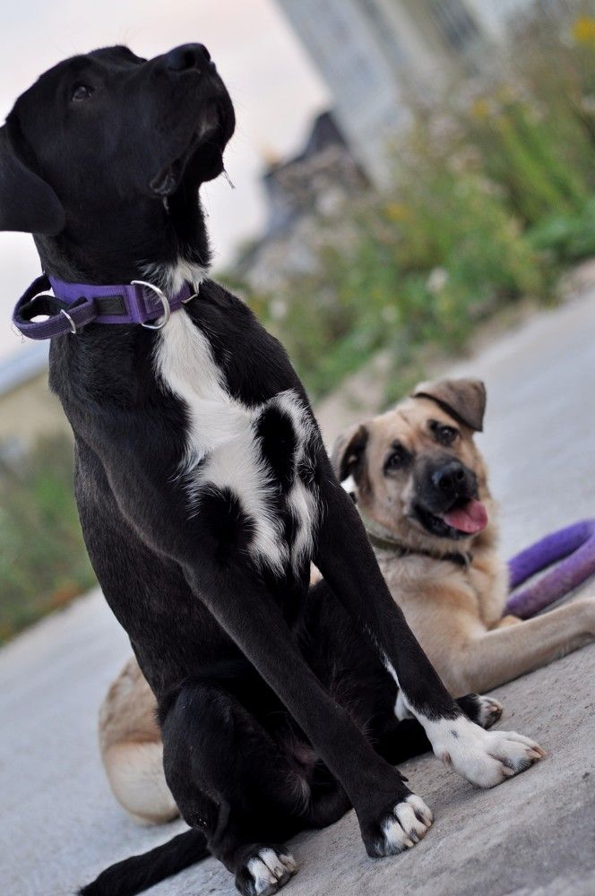 Фотография автора Виталий Дузь