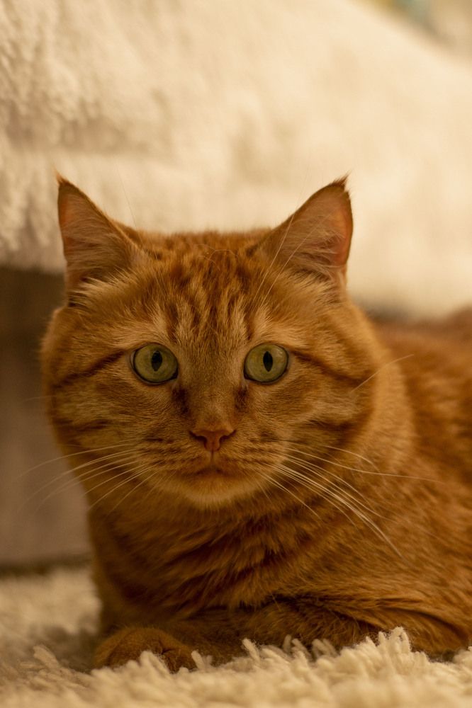 Photograph by Елена