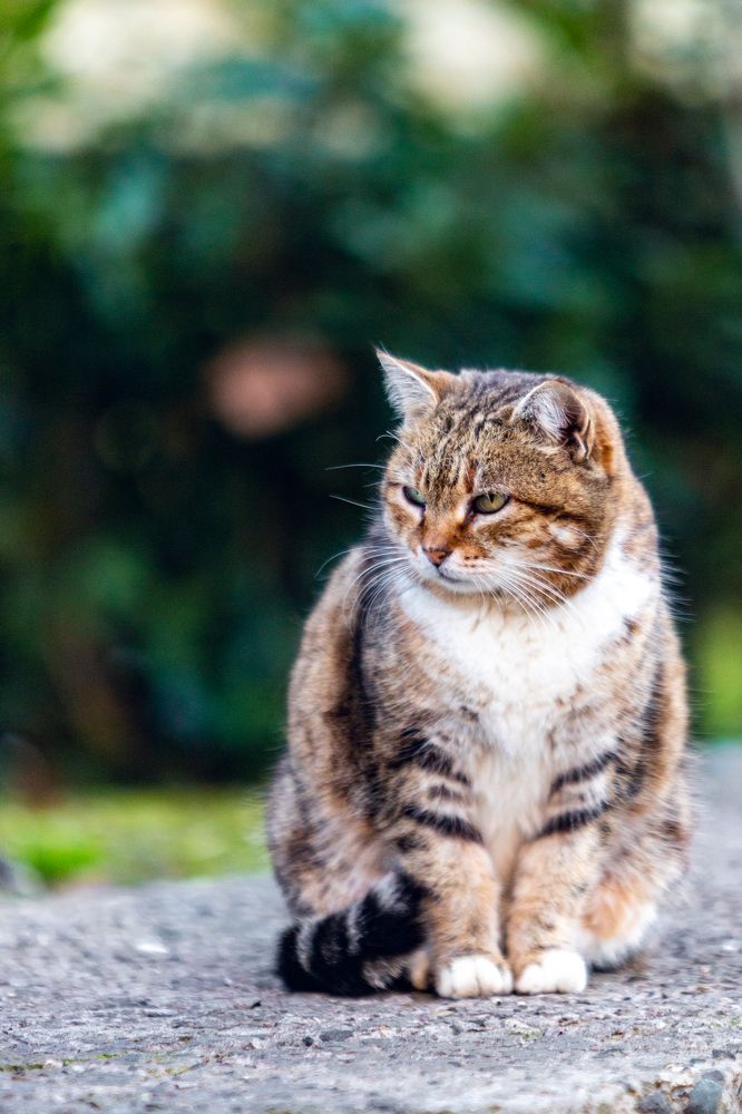 Photograph by Александр Вдовенко