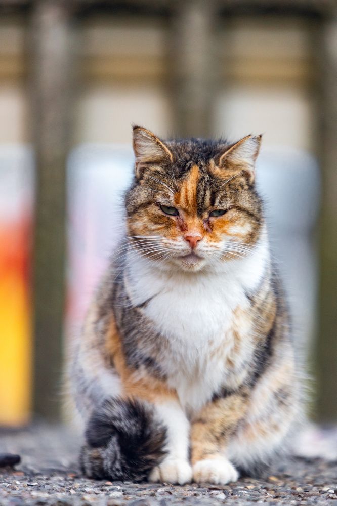 Photograph by Александр Вдовенко