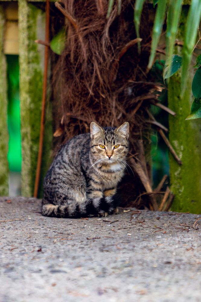 Photograph by Александр Вдовенко