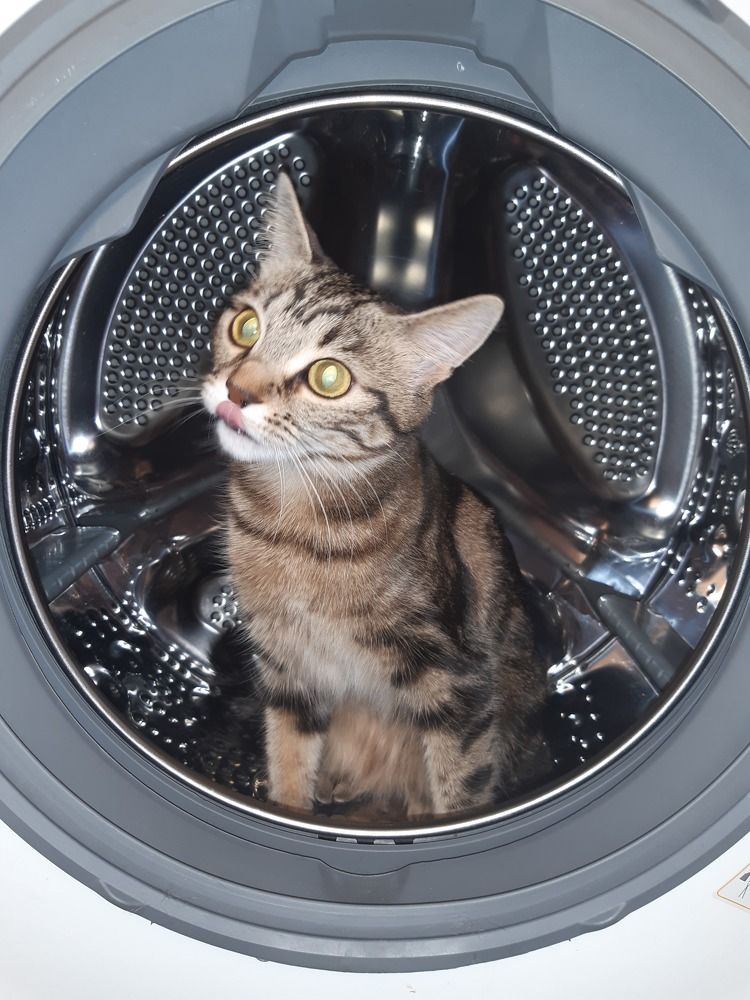 Photograph by Людмила