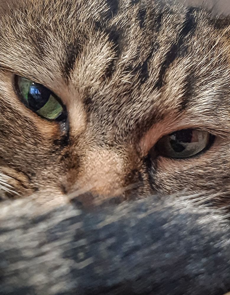 Photograph by Людмила