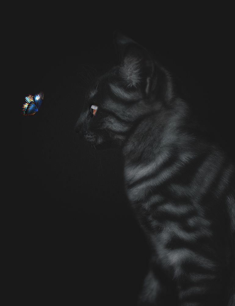 Photograph by ghaniya