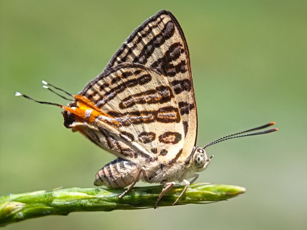 Photograph by Angelica Gutierrez