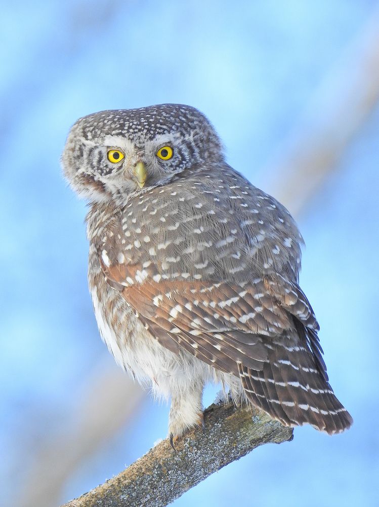 Photograph by Игорь Степанов