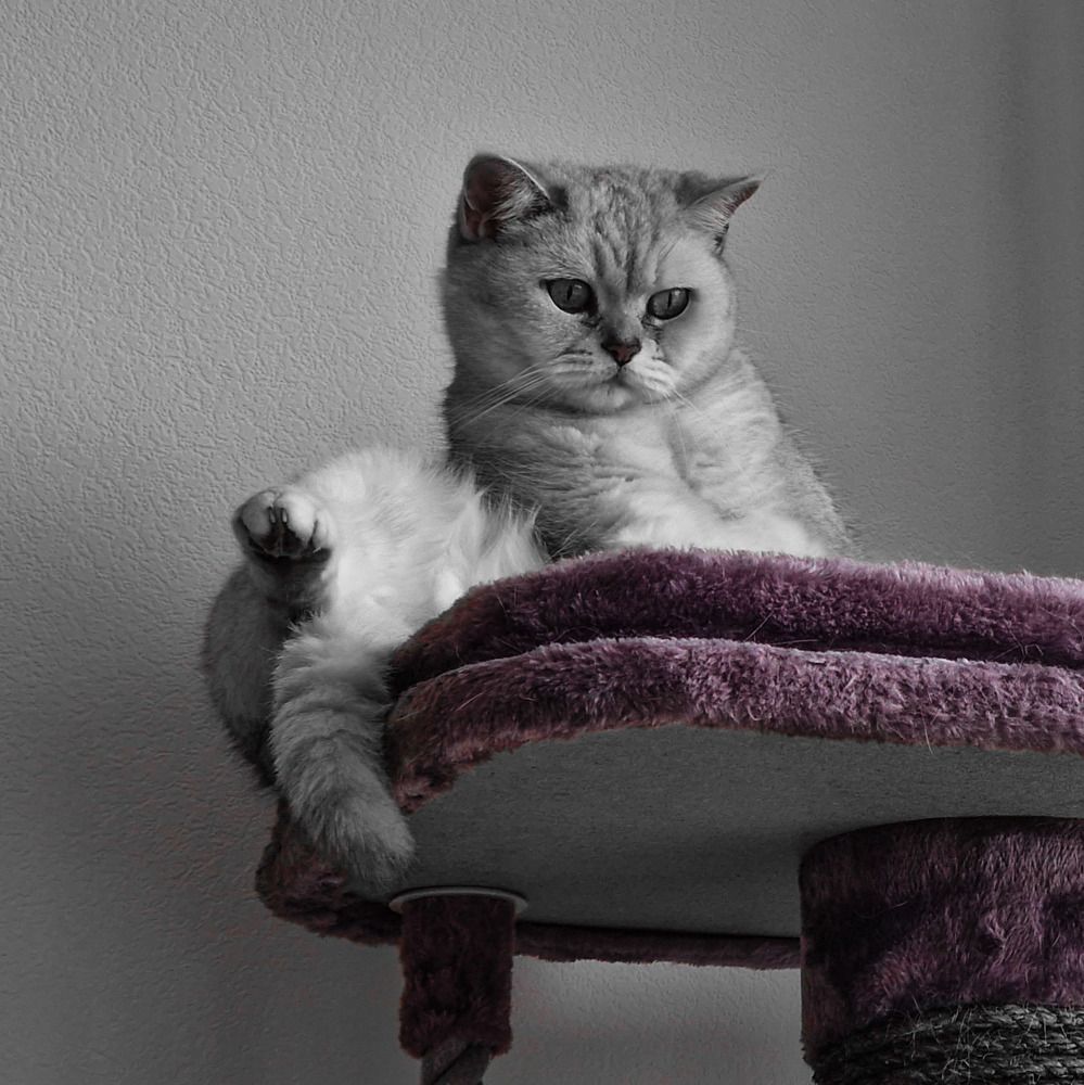 Photograph by Алексей Рыбачков