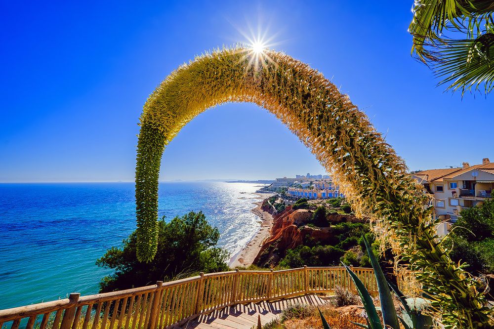 Прекрасная погодка! Бирюзовое море ???