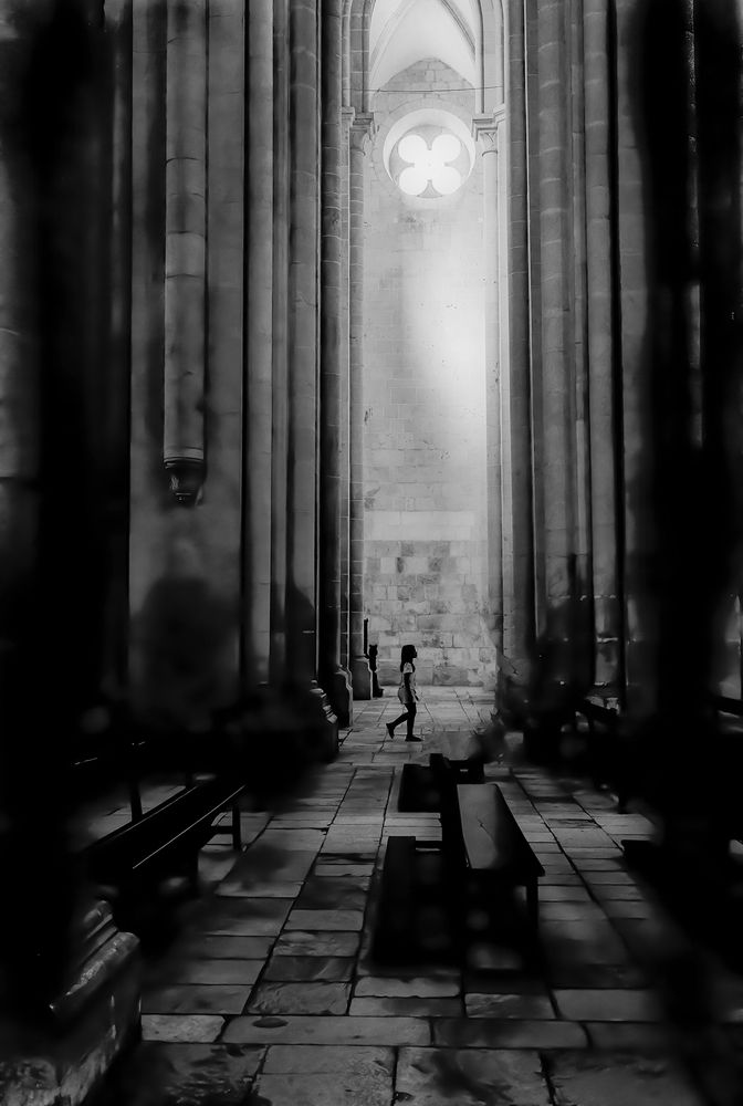 Photograph by Jose Carvalho