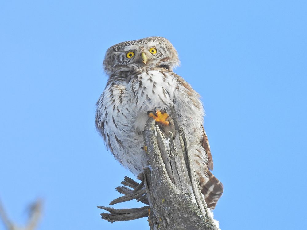 Photograph by Игорь Степанов