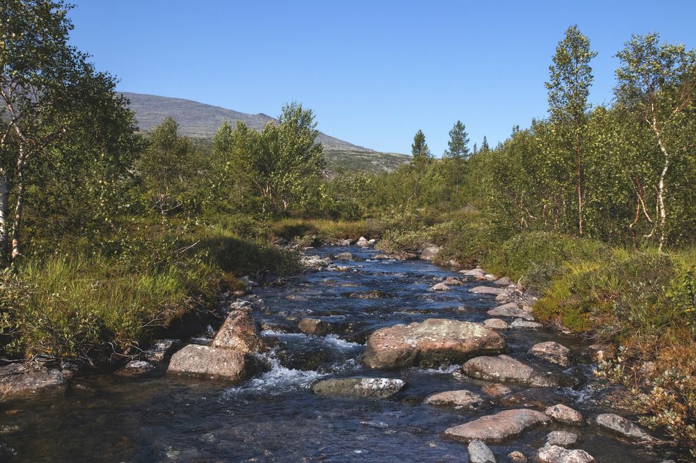 Photograph by Виктория Браун