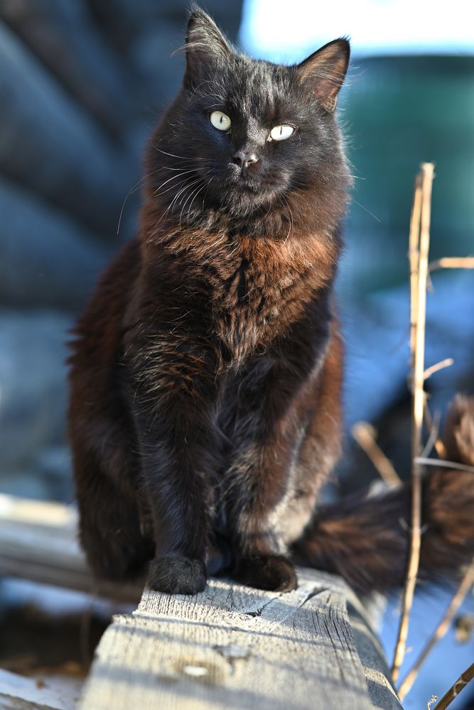 Photograph by Denis Chigintsev