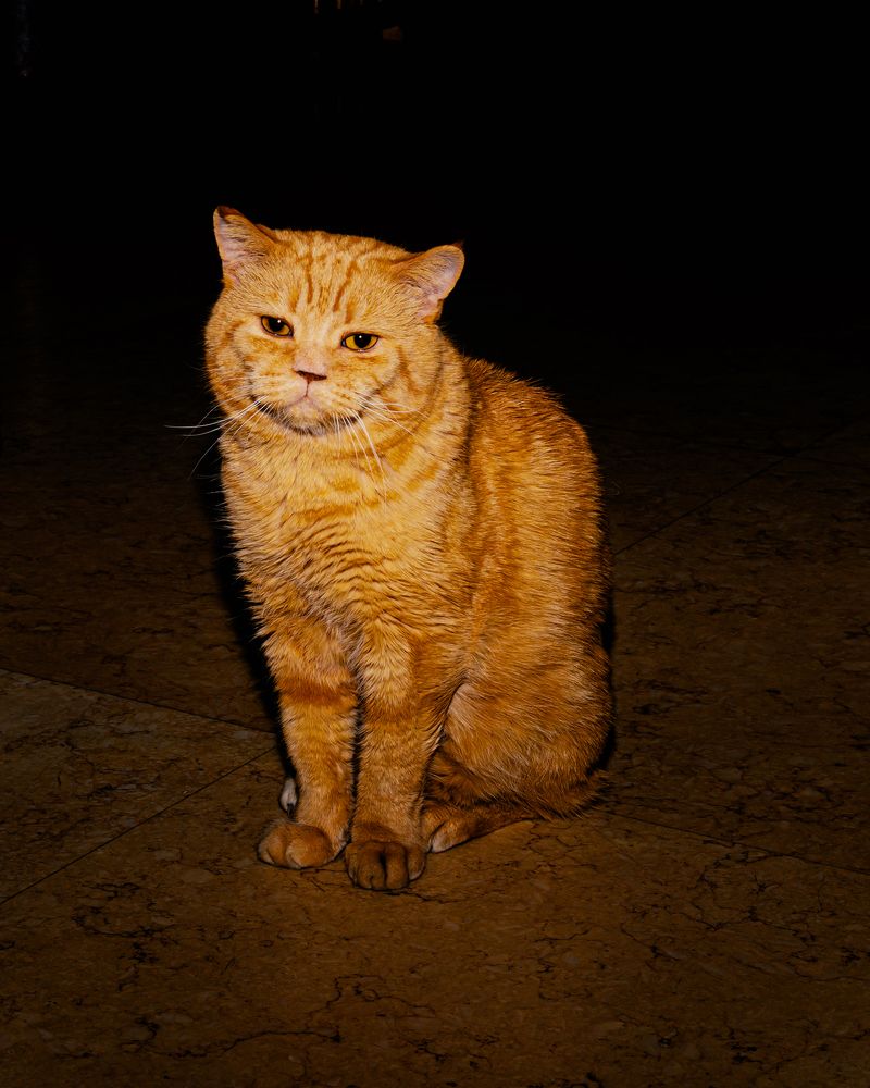 Грусть-тоска...