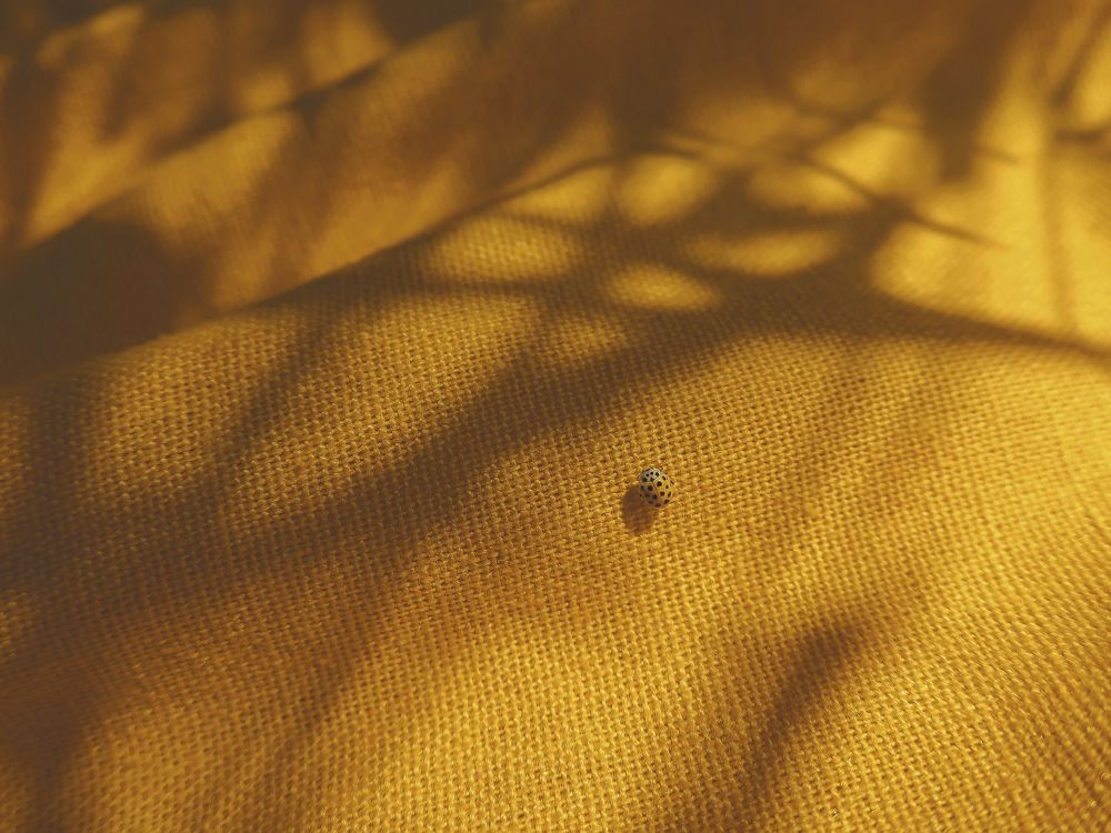 Photograph by Елена Брыкова