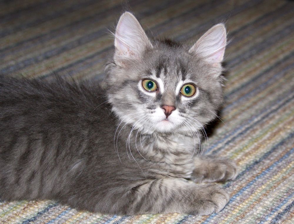 Photograph by Рашид Сафиуллин