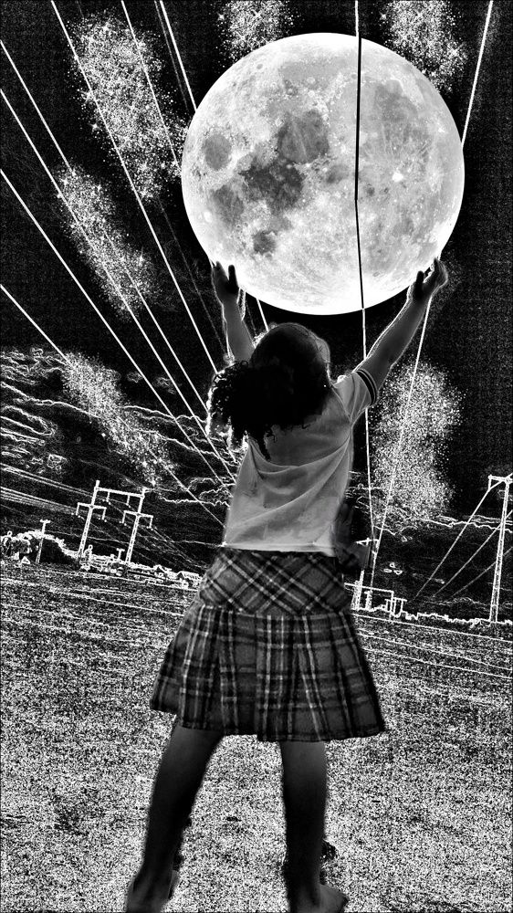 Photograph by Niedja Araujo