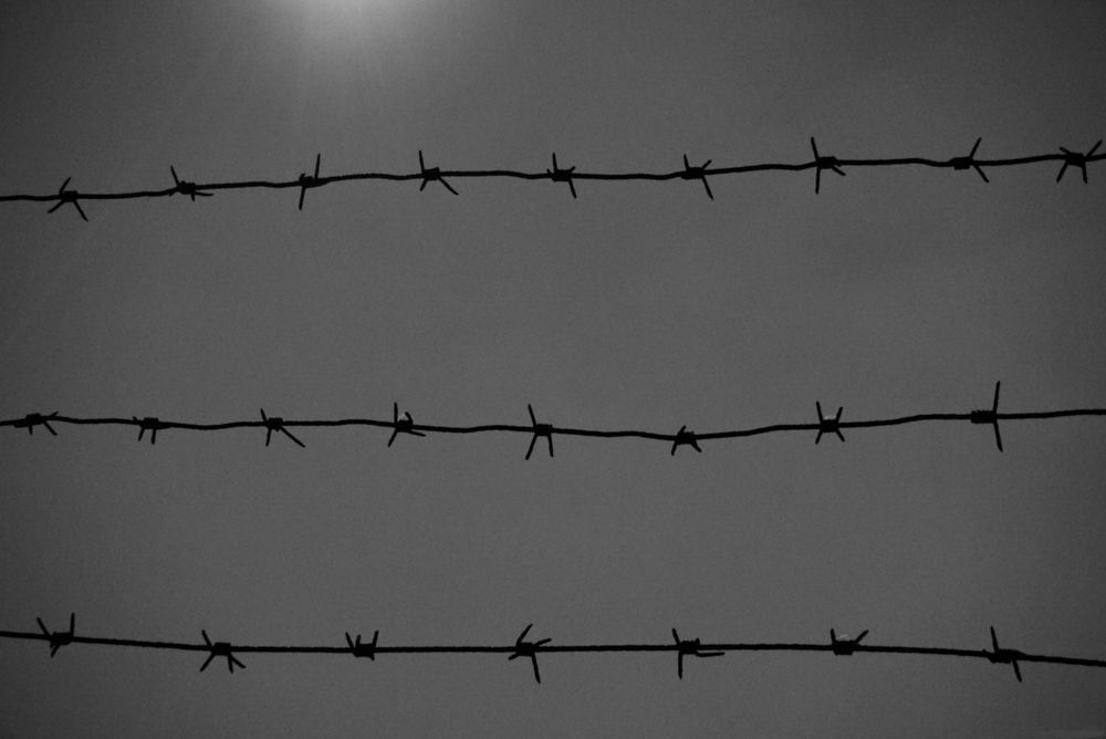 Фотография автора Егор Бушмакин