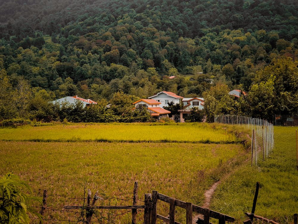 Photograph by Mahdi Reihani Bozorg