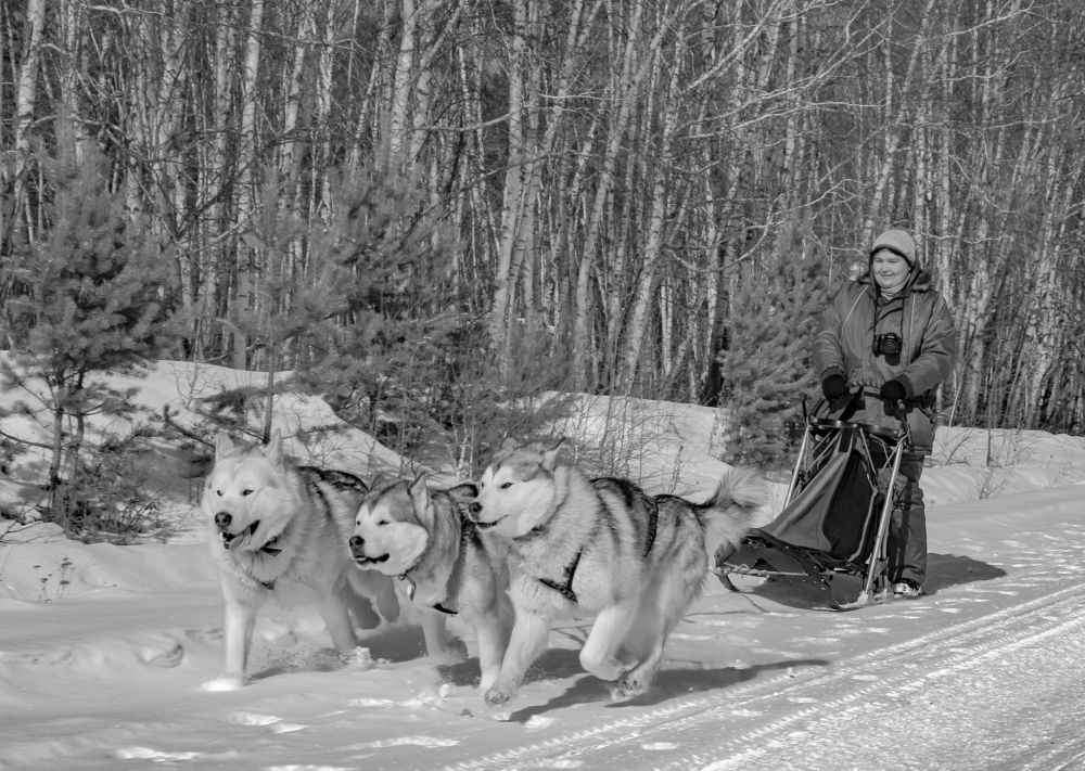 Фотография автора Александр Довганюк