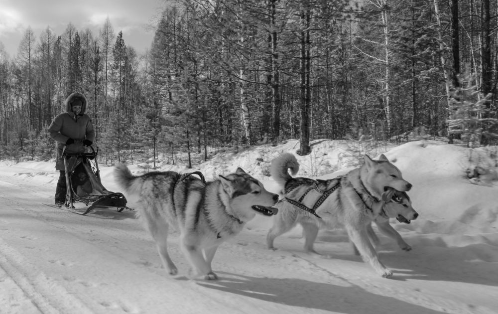 Фотография автора Александр Довганюк
