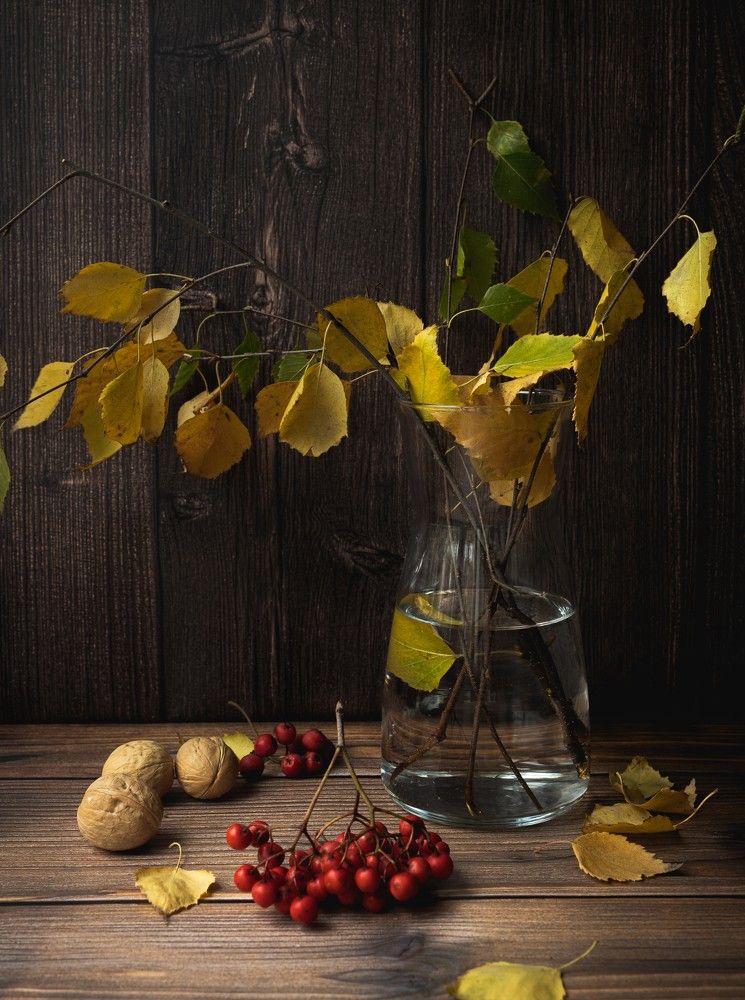 Photograph by Екатерина Борисова