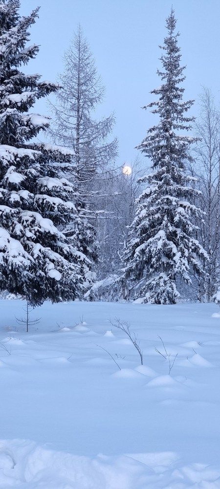 Сумеречная луна