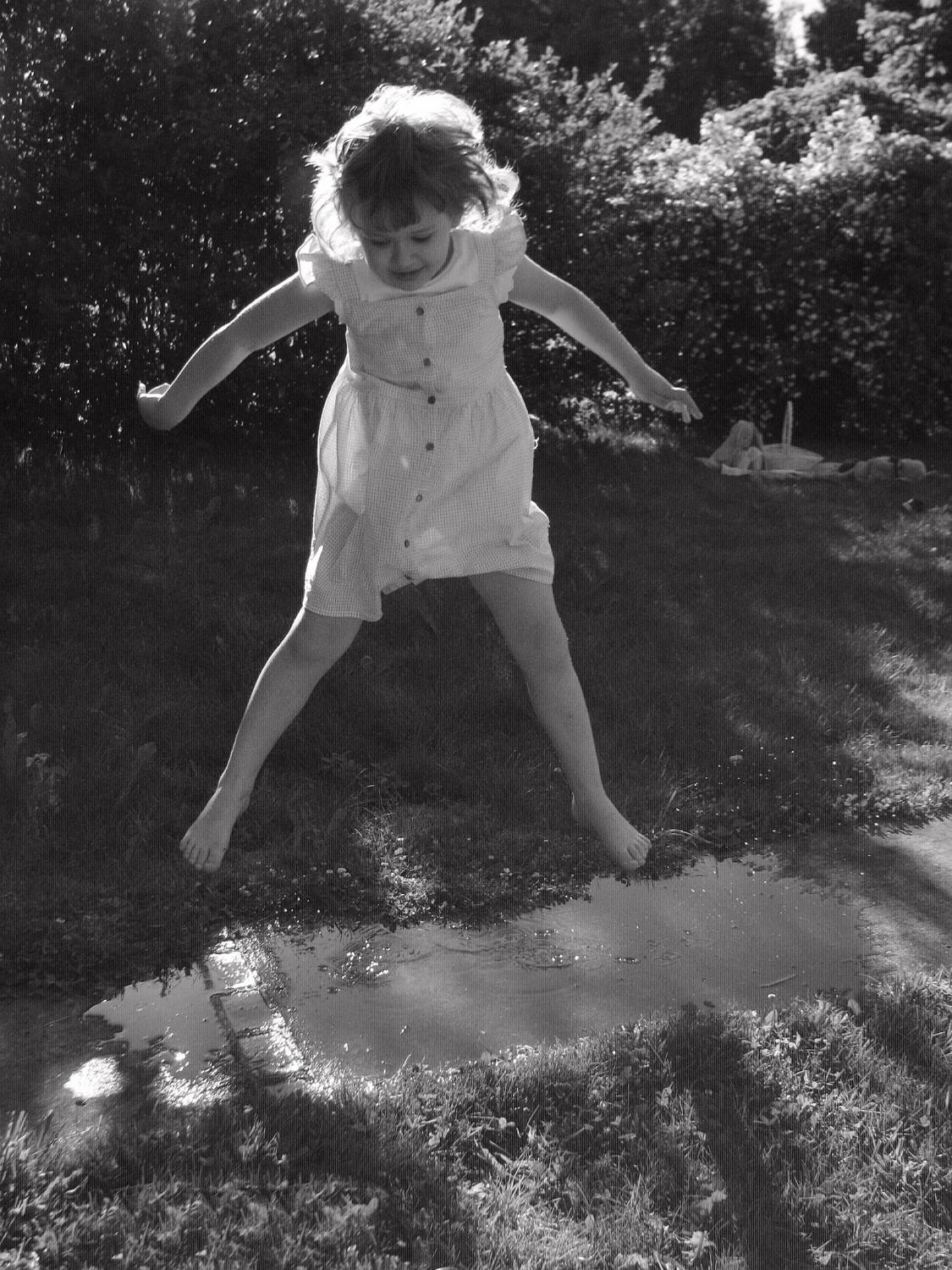 Photo #8777701