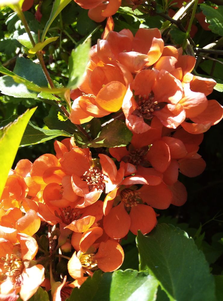 Photograph by Юлия Волобуева