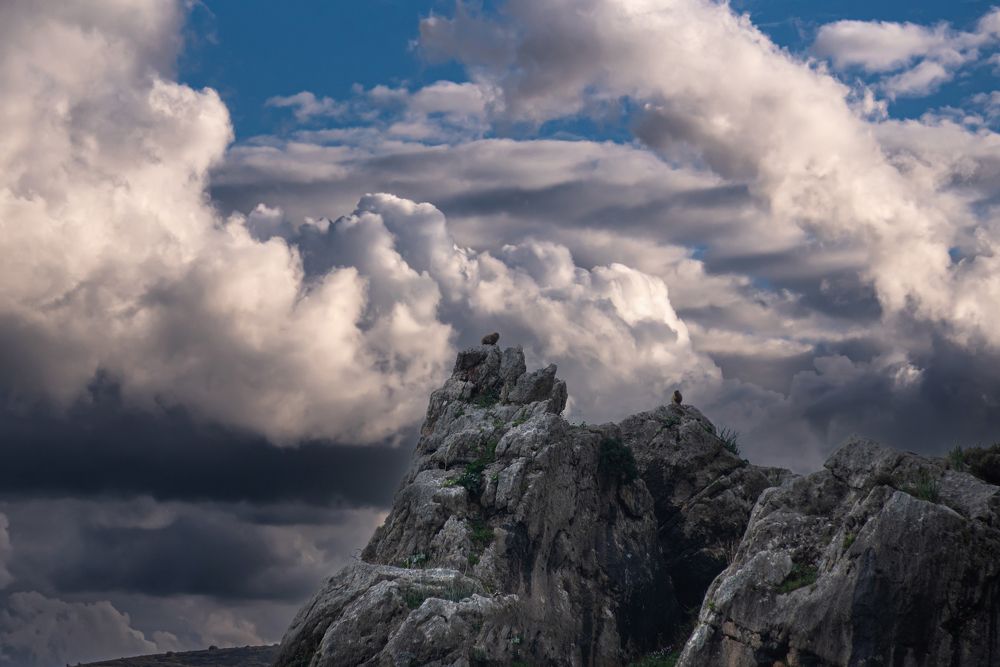 Photograph by Алекс Гейнер