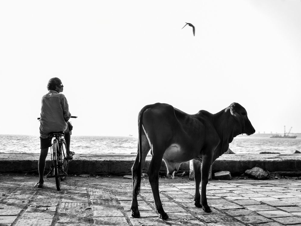 Photograph by Sreerag k k