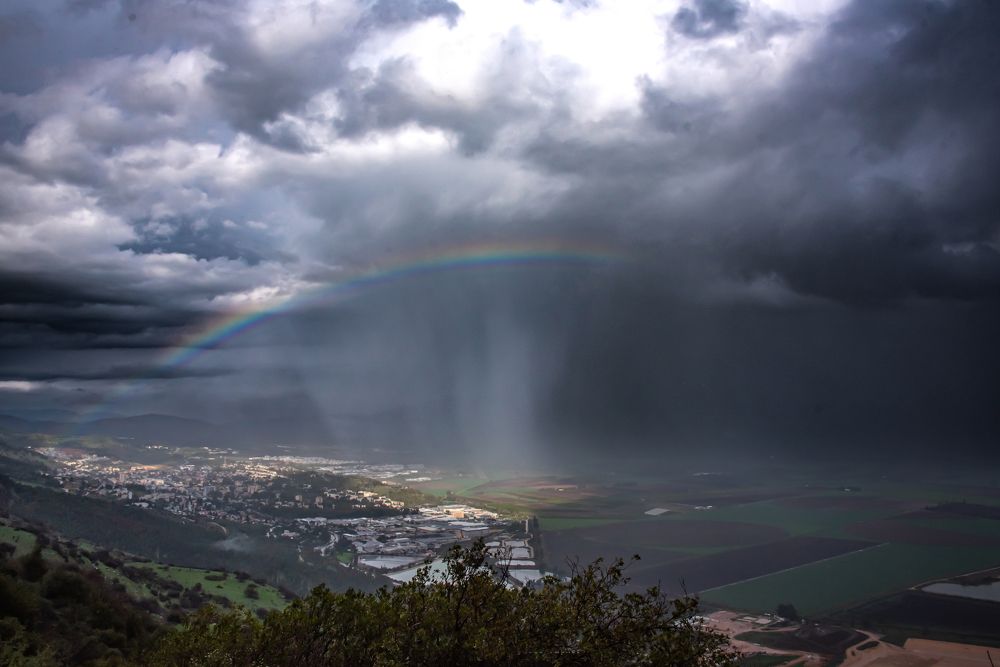 Photograph by Алекс Гейнер