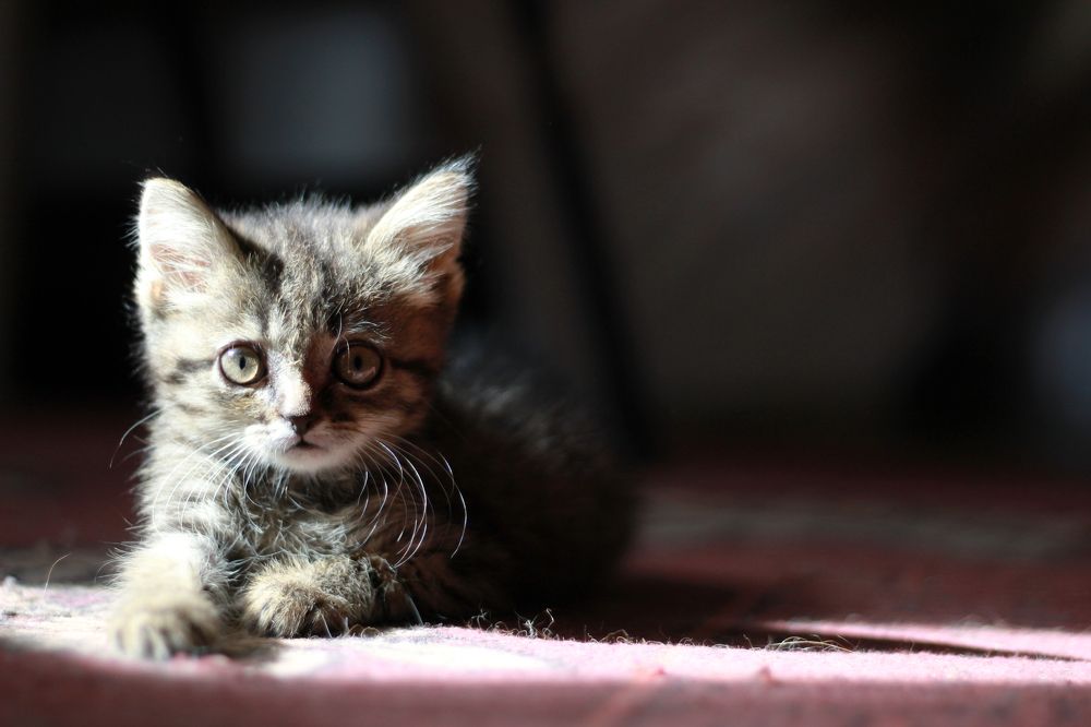 Photograph by Ксения Любченко